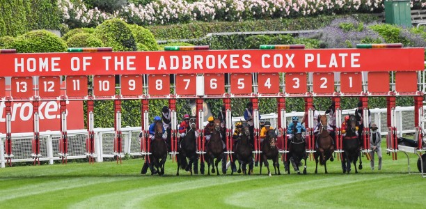 MVRC looking to finalise 2026 Cox Plate venue