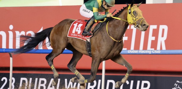 Star Japanese raider Ushba Tesoro head odds in Dubai World Cup