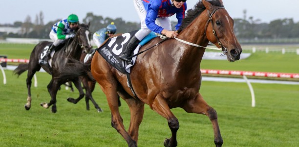 Globe set for return at Caulfield