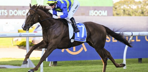 Another Wil heads odds in a wide open Doncaster Mile field