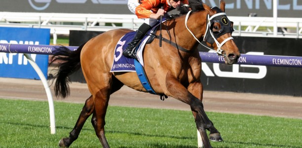 Shaiyhar ready to shine at Caulfield