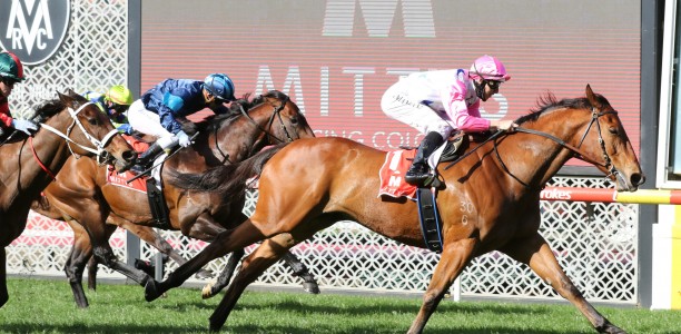 The Inferno ready to fire at Caulfield