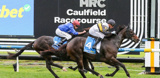 No Shock in Victoria Handicap win