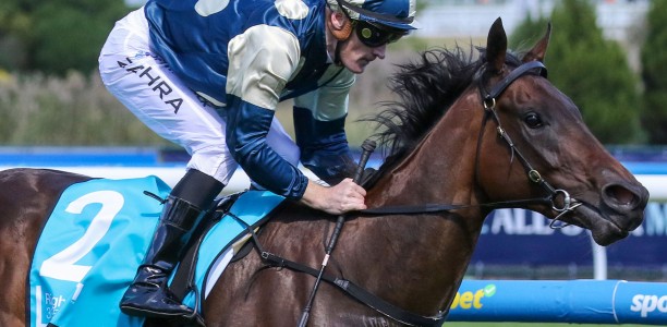 Bold Bastille bound for Bendigo