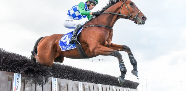 Stern Idol’s shot at Brierly Steeplechase history