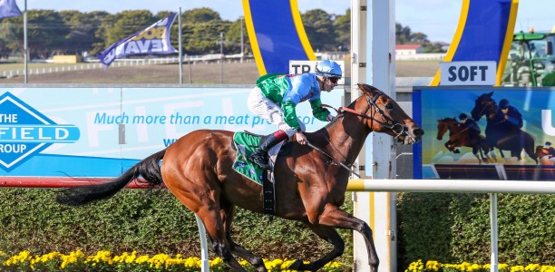 Tuvalu brave in Wangoom Handicap win