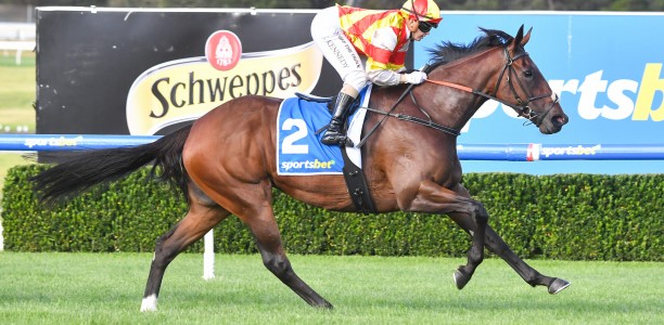 Exciting staying fillies odds crunched in the SA Derby