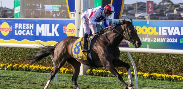 Grand Annual winner a Warrnambool Cup hero