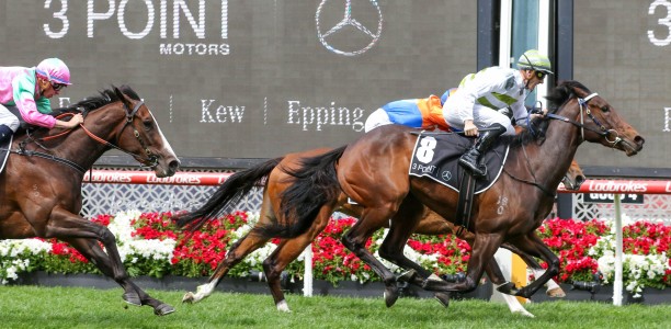 Skybird set for shot at The Goodwood