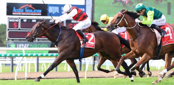 Rejuvenated At Witz End gives Bowen his first stakes win