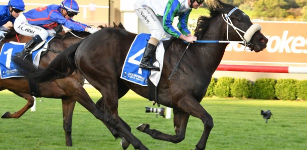 I Wish I Win odds on in the Doomben 10,000 field