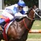 Former star 3YO continues comeback at Scone