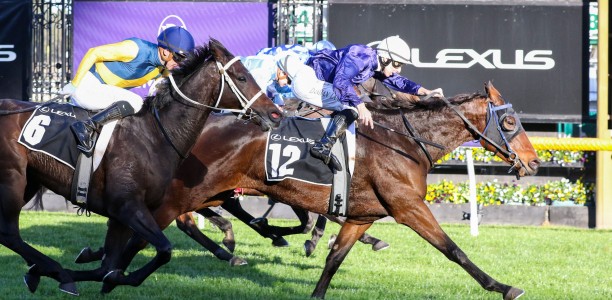 The Map lands Melbourne Cup berth