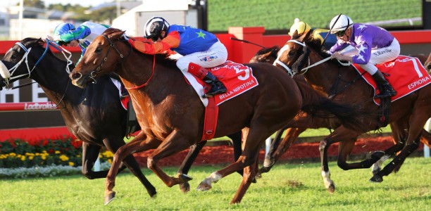 Bella Nipotina beats I Wish I Win in Doomben 10,000