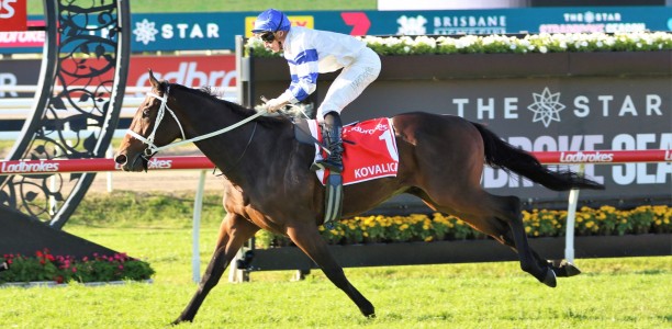 Kovalica heads early odds for the Doomben Cup