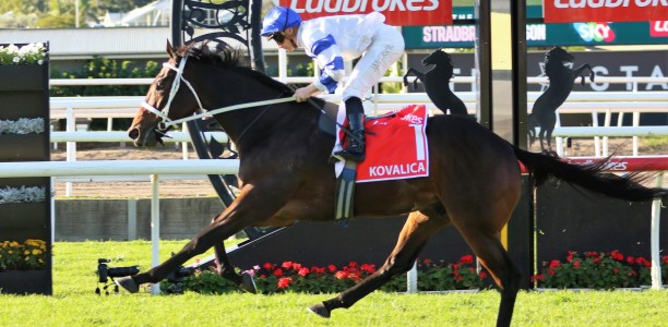 G1 winner Kovalica heads odds in the Doomben Cup