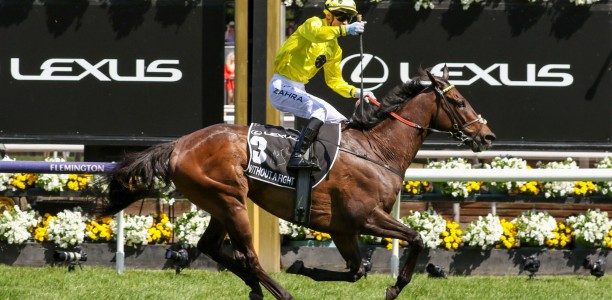 Melbourne Cup champ recovering well from tendon injury