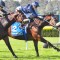 Tacumwah to press claims for Queensland Oaks start