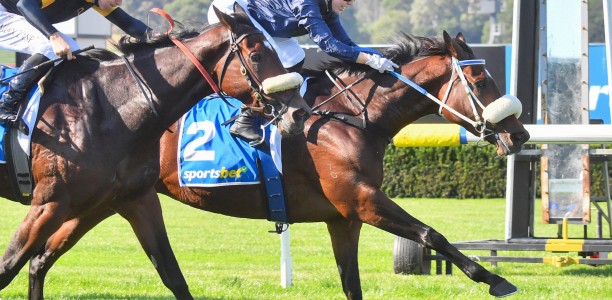 Tacumwah to press claims for Queensland Oaks start