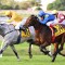 Bois D’Argent upsets rivals in Doomben Cup