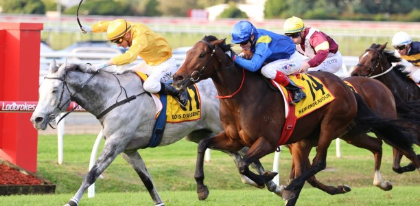 Bois D’Argent upsets rivals in Doomben Cup