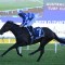 Pride Of Jenni begins Cox Plate preparation