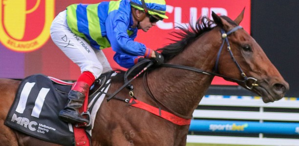 Punters hoping to Shock bookies in Lord Mayors Cup at Eagle Farm