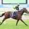 Interest Point heads to town