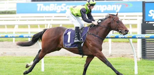 Interest Point heads to town