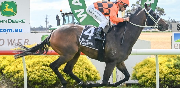 Down in grade sprinter can Bob up at Rosehill