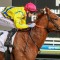 La Danseuse Rouge storms home at Caulfield