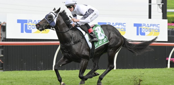 Freedman stable weighing up options for Insurrection