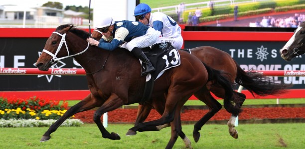 Former Kiwi mare heads odds in the Queensland Oaks at Eagle Farm