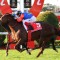 Stradbroke Handicap an option for in-form mare Bella Nipotina