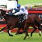 Scarlet Oak heads odds for the Group 1 Queensland Oaks