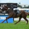 Mnementh a ‘shoe-in’ for Bob Charley AO Stakes