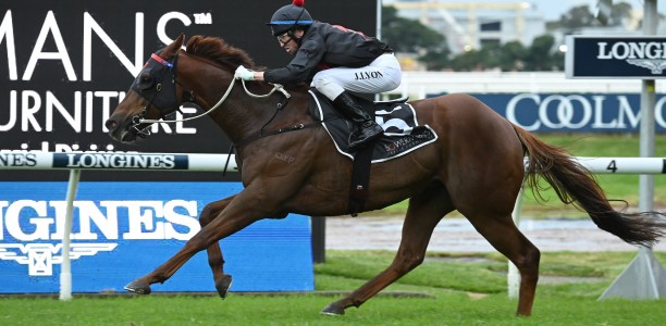 Mnementh a ‘shoe-in’ for Bob Charley AO Stakes