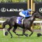 Return to Flemington to suit Legio Ten