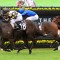 Stradbroke mount reward for hard work