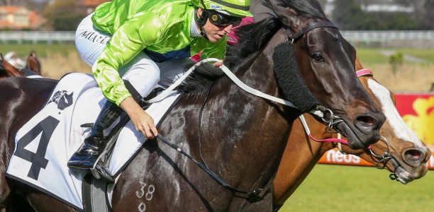 Amenable set for Stradbroke Handicap