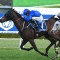 Brisbane Cup odds suggest a wide open race