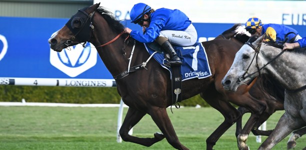 Brisbane Cup odds suggest a wide open race