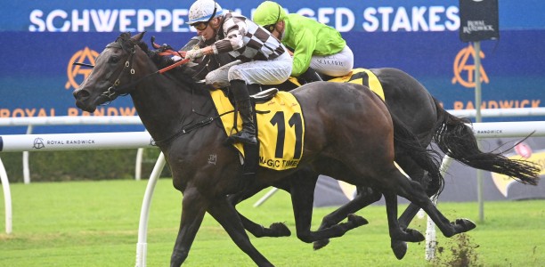 Begg optimistic Magic Time can bounce back in Stradbroke Handicap