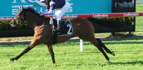 Neasham out to cause Mighty upset in Stradbroke Handicap