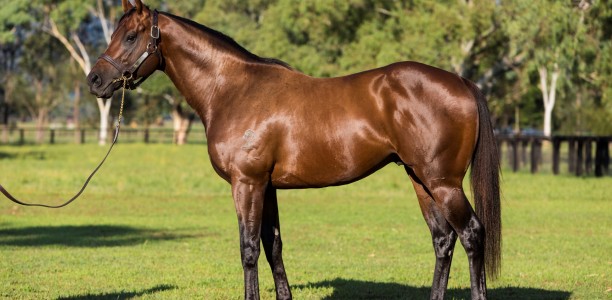 Small share in Zoustar sells for a whopping $1.3 million