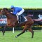 Vilana heads odds with betting apps in the Stradbroke Handicap