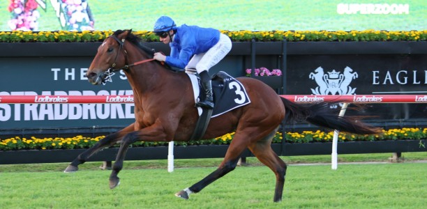 Vilana heads odds with betting apps in the Stradbroke Handicap