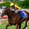 Stefi out to emulate mum in Stradbroke Handicap