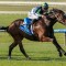 Jollys chase more Pudding at Sandown