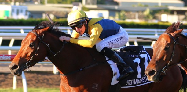 Stradbroke Handicap 2024 – What the jockeys said